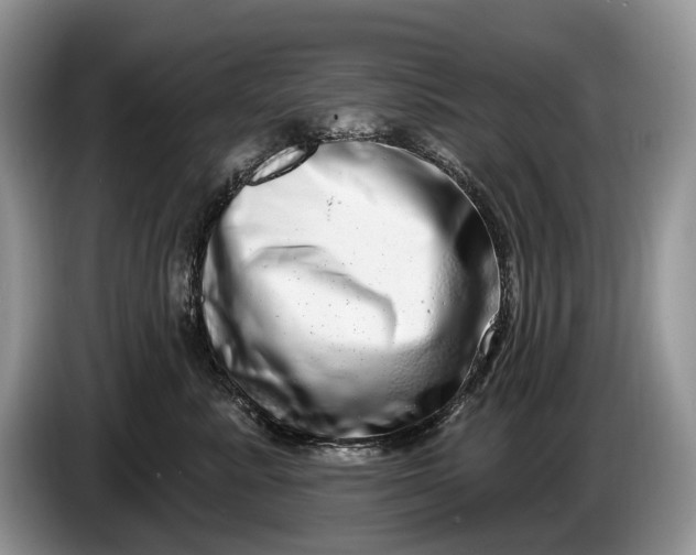 X0000086270619200704122030