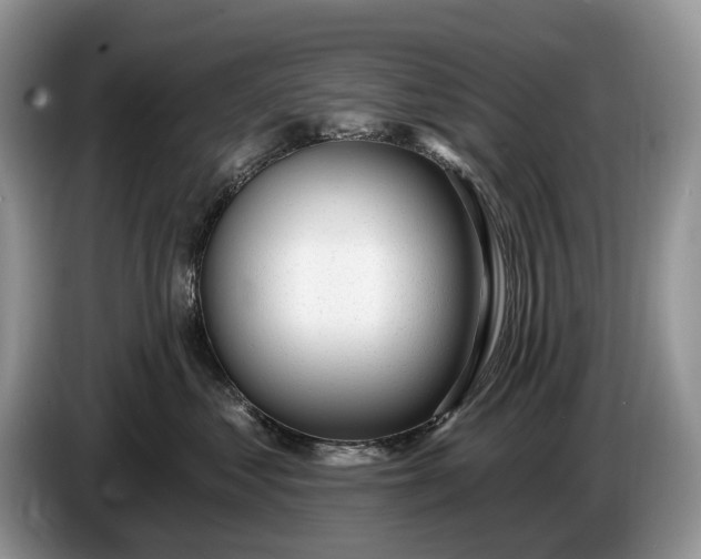 X0000086270621200704122030