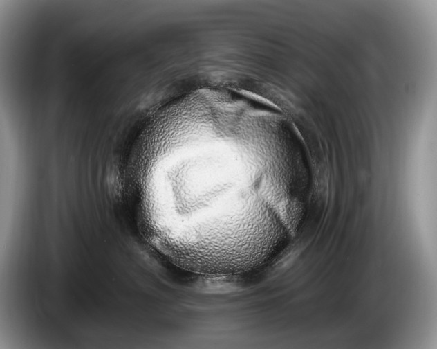 X0000086270622200704122030