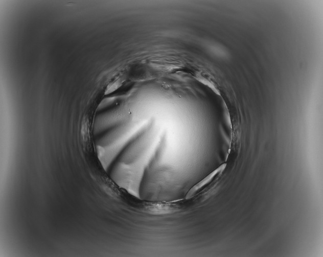 X0000086270623200704122030