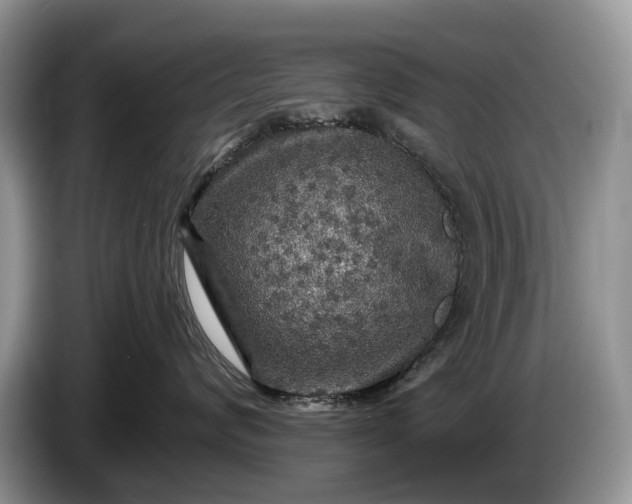 X0000086270624200704122030