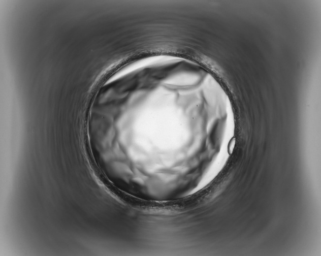 X0000086270625200704122030