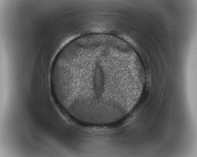 X0000086270626200704122030