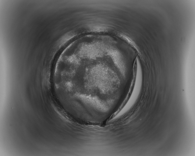 X0000086270627200704122030