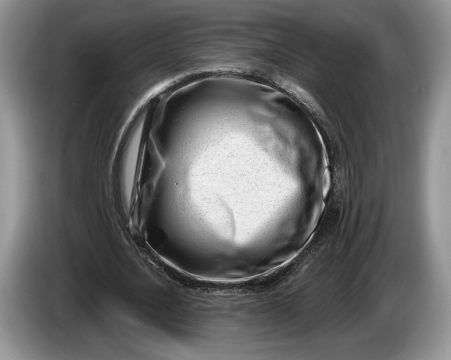 X0000086270628200704122030