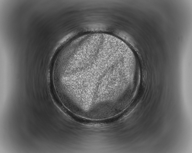 X0000086270629200704122030