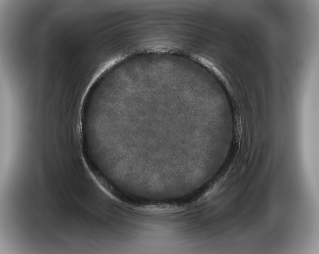 X0000086270630200704122030