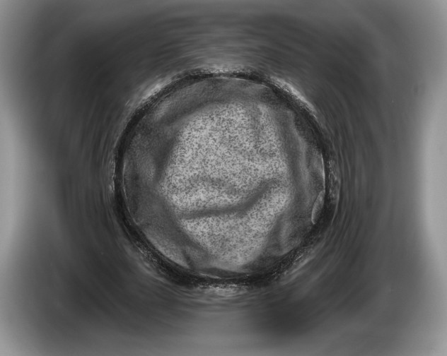 X0000086270631200704122030