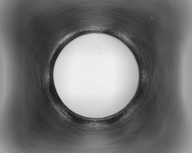 X0000086270632200704122030