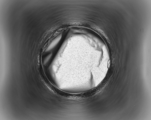 X0000086270633200704122030