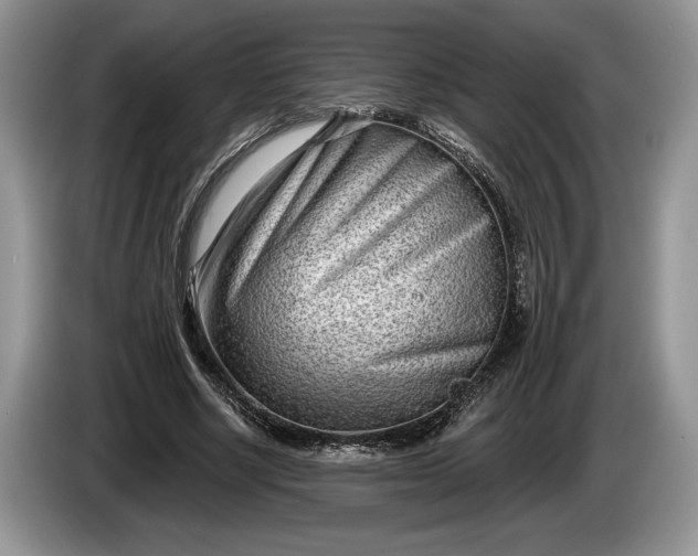 X0000086270634200704122030