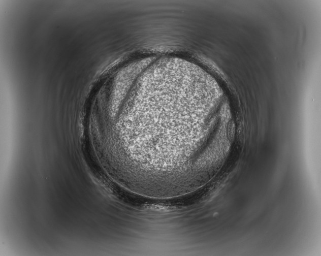 X0000086270635200704122030