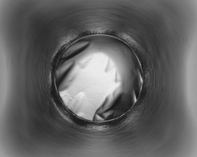 X0000086270638200704122030