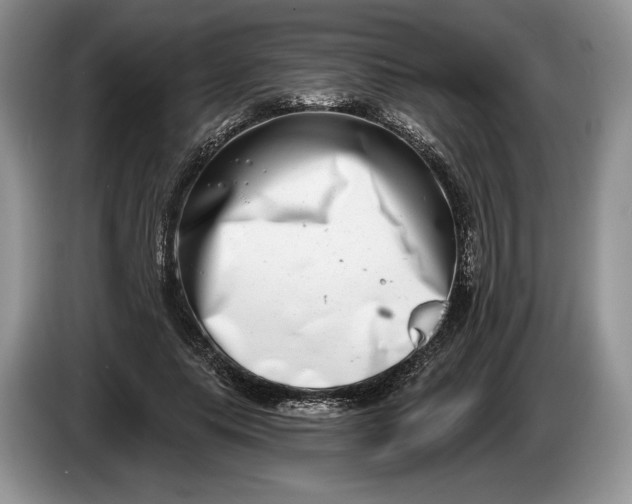 X0000086270639200704122030