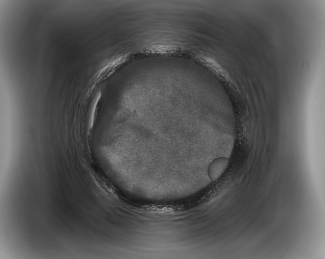 X0000086270640200704122030