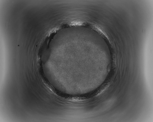 X0000086270641200704122030