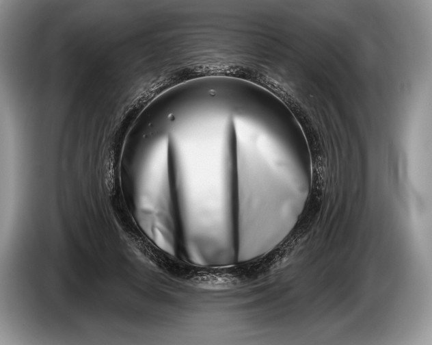 X0000086270642200704122030