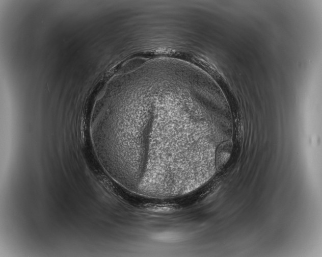 X0000086270643200704122030