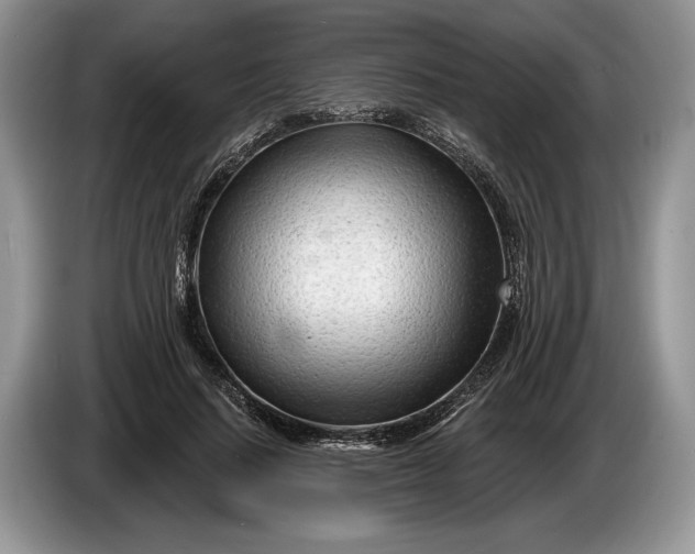 X0000086270644200704122030