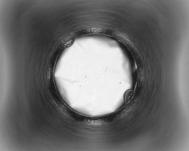 X0000086270645200704122030