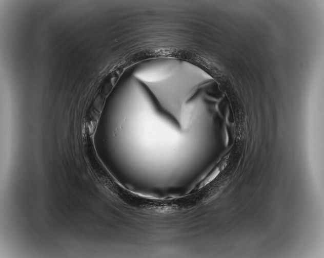 X0000086270646200704122030