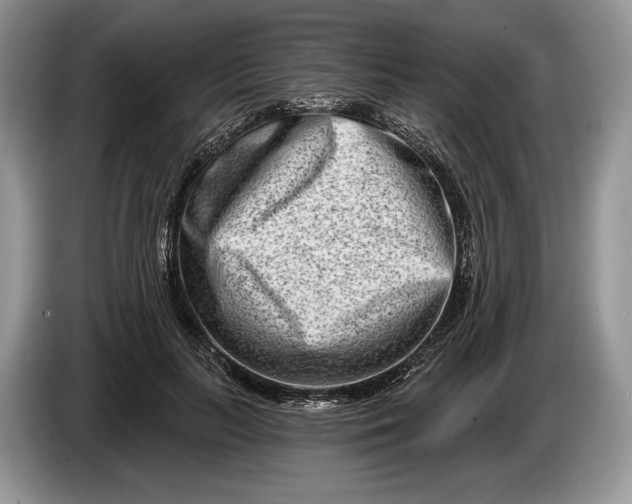 X0000086270647200704122030