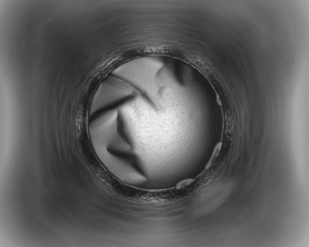 X0000086270648200704122030