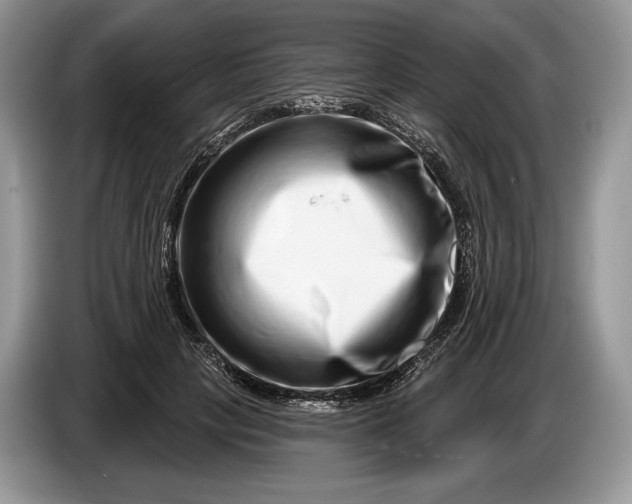 X0000086270649200704122030