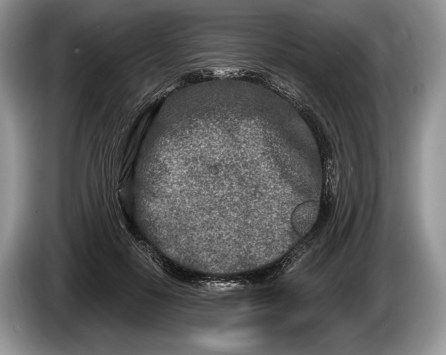 X0000086270650200704122030