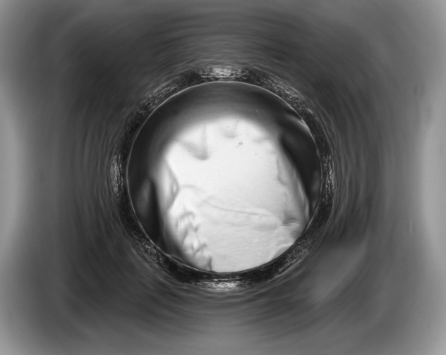 X0000086270651200704122030