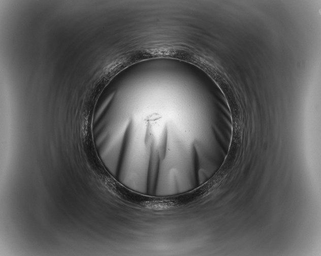 X0000086270652200704122030