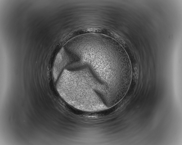 X0000086270653200704122030