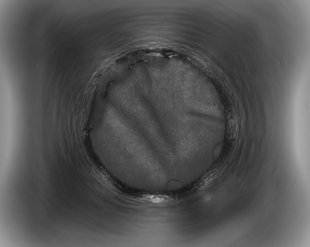 X0000086270654200704122030