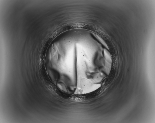 X0000086270655200704122030