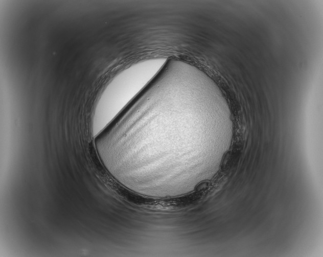 X0000086270656200704122030