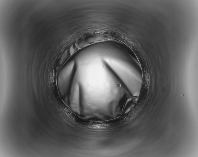 X0000086270657200704122030