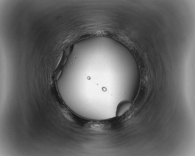 X0000086270658200704122030