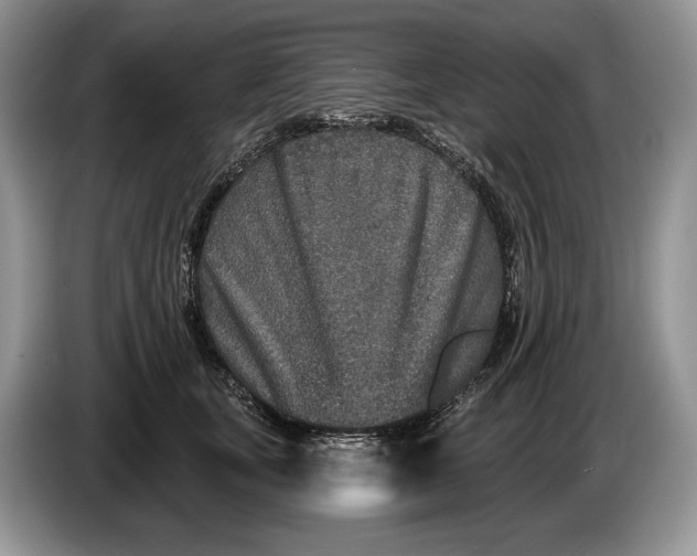 X0000086270659200704122030