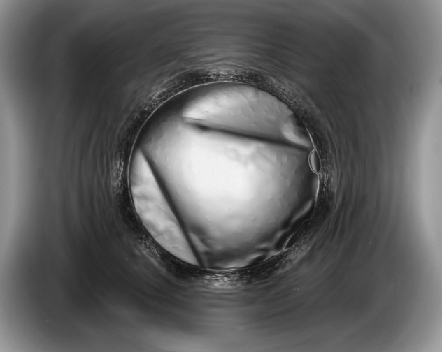 X0000086270660200704122030