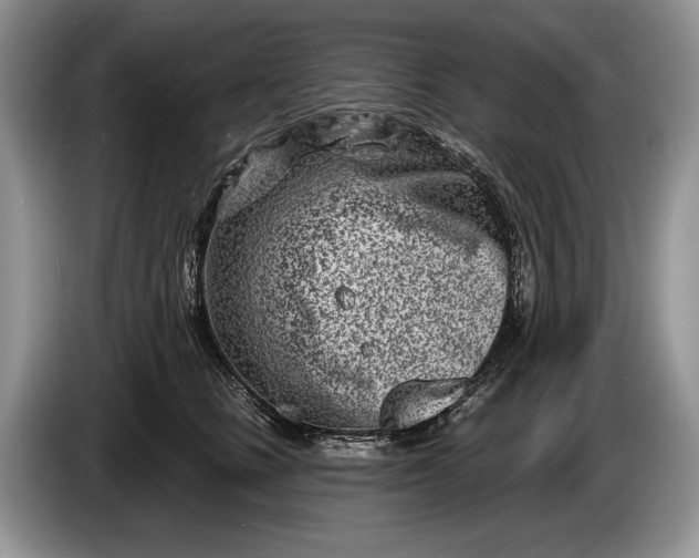 X0000086270661200704122030