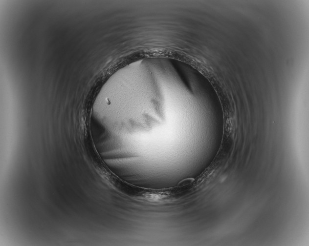 X0000086270662200704122030