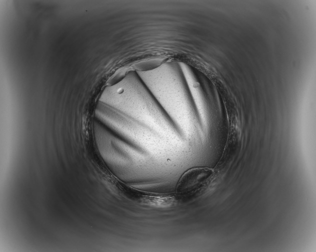 X0000086270663200704122030