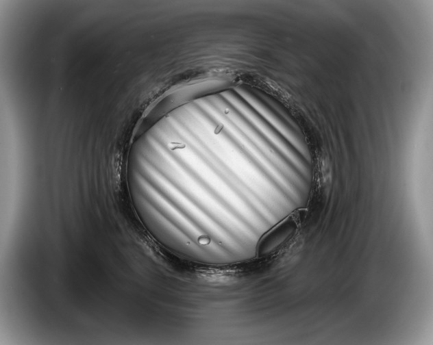 X0000086270664200704122030