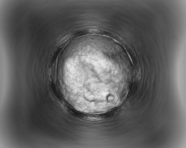 X0000086270666200704122030