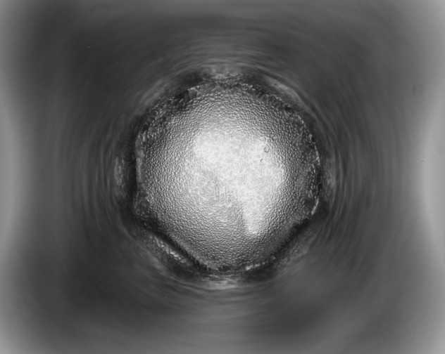 X0000086270667200704122030