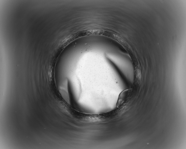 X0000086270668200704122030