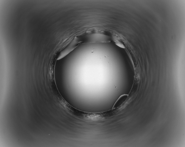 X0000086270669200704122030