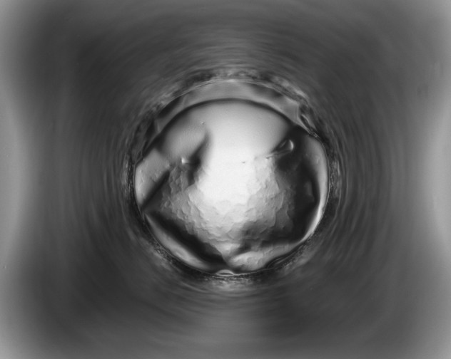 X0000086270670200704122030