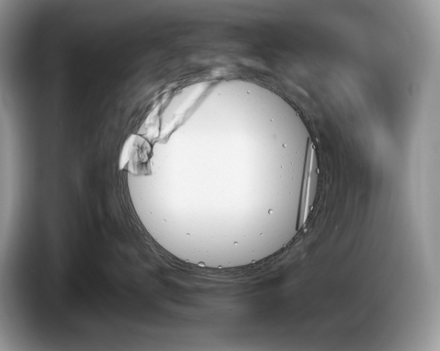 X0000086270672200704122030