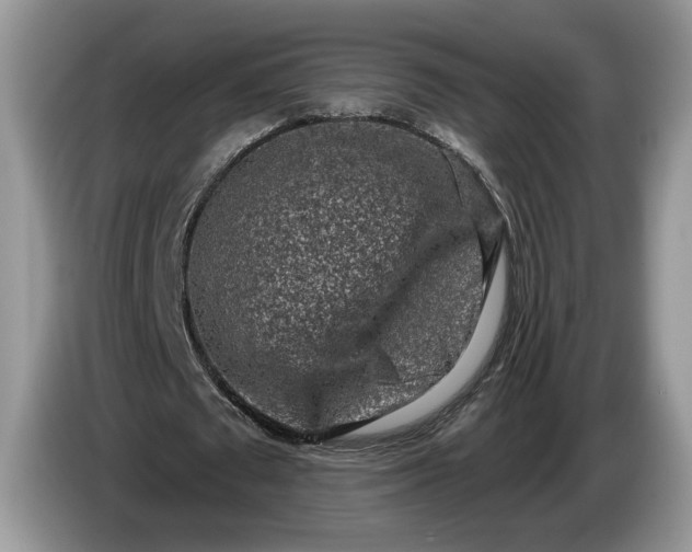 X0000086270673200704122030